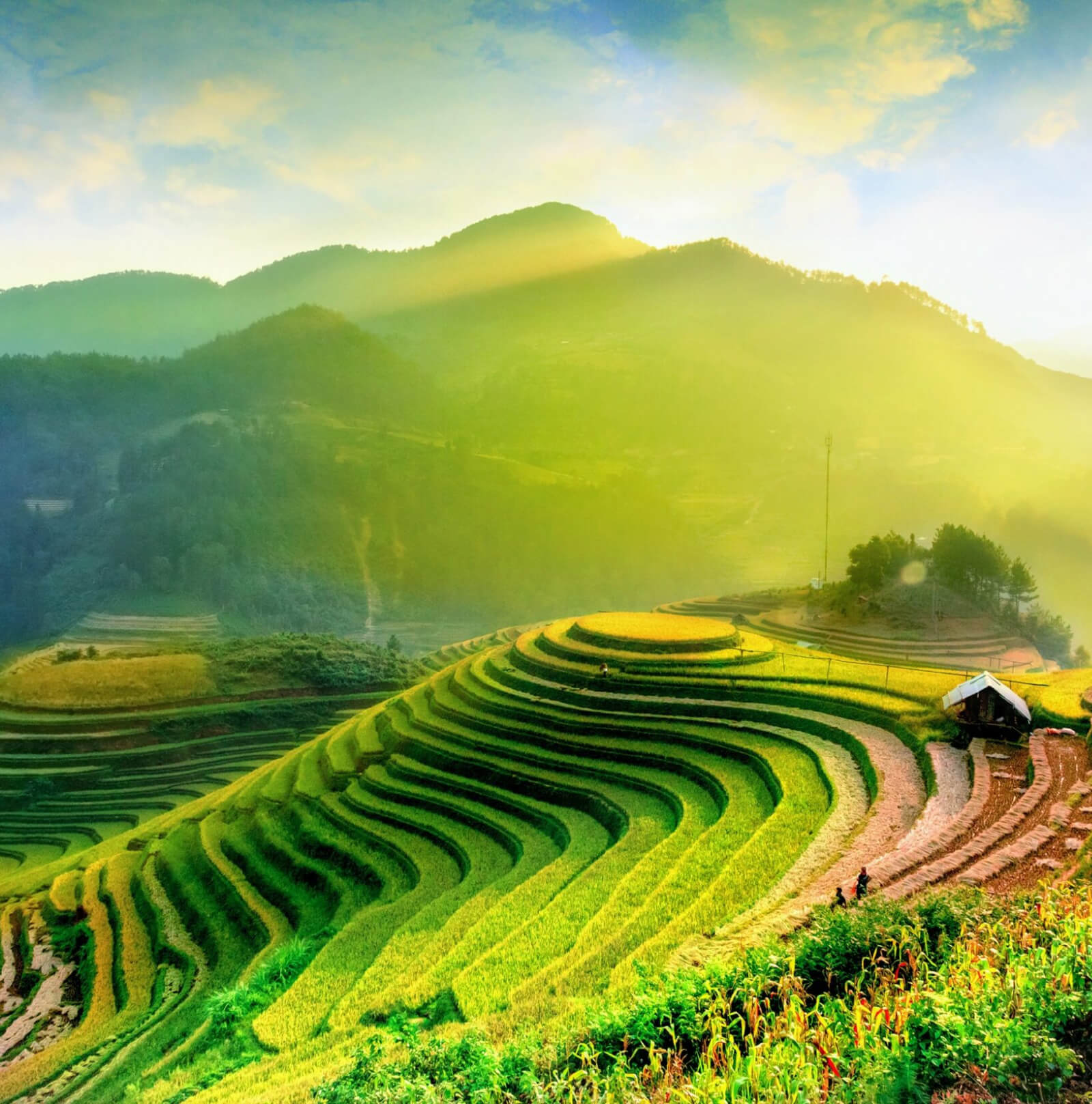 Navigation Background